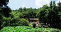 長沙出發(fā)到花明樓、韶山、張家界國家森林公園、天門仙山國家森林公園四日游